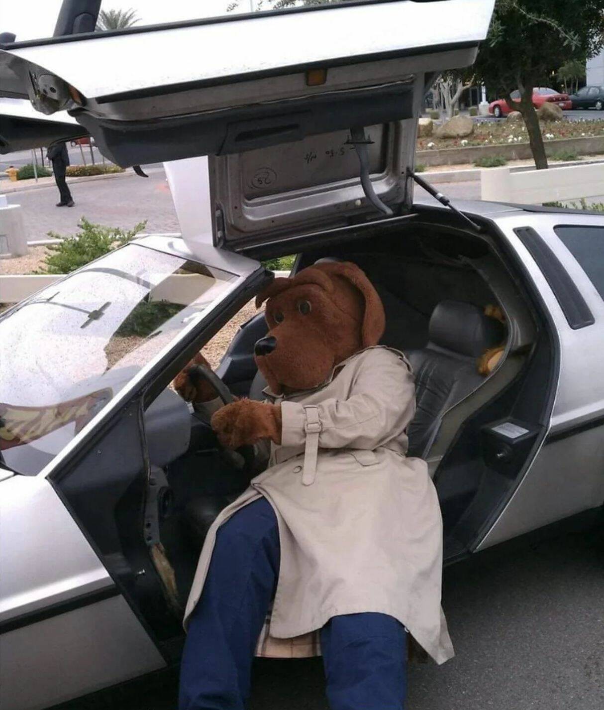 Daily Pictures. Part 1 (67 pics) Daily Pictures. Part 1 (67 pics)