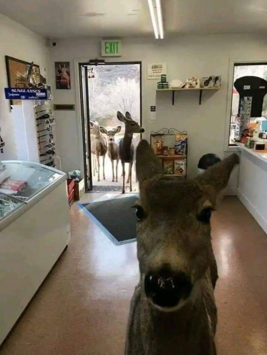 Daily Pictures. Part 1 (67 pics) Daily Pictures. Part 1 (67 pics)