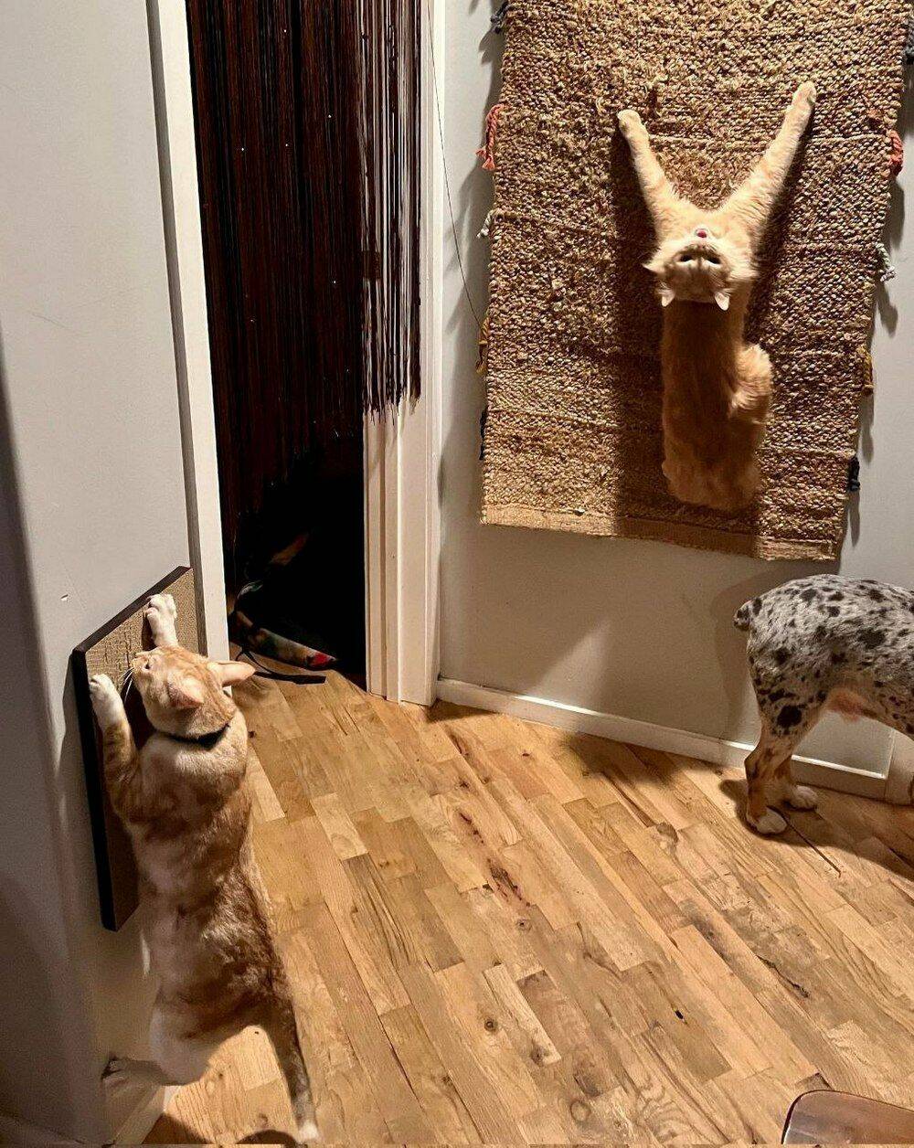 Daily Pictures. Part 1 (67 pics) Daily Pictures. Part 1 (67 pics)