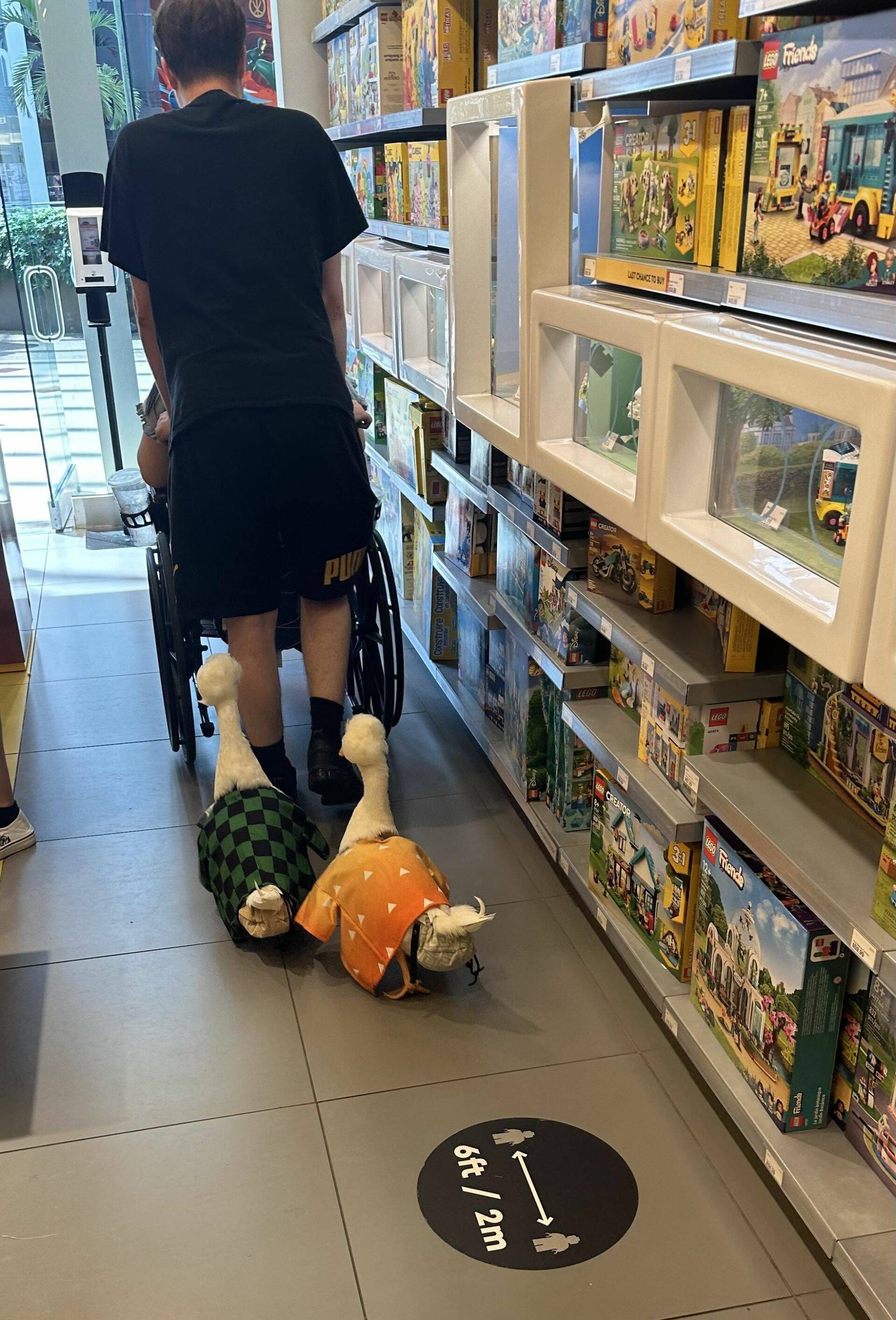 Daily Pictures. Part 1 (67 pics) Daily Pictures. Part 1 (67 pics)