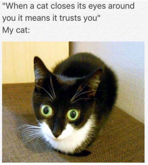 Daily Pictures. Part 2 (66 pics) Daily Pictures. Part 2 (66 pics)