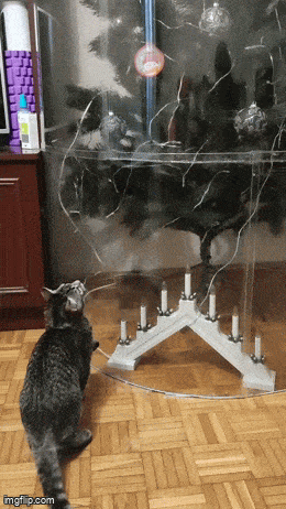 Acid GIFs, December 10 (25 gifs) Acid GIFs, December 10 (25 gifs)