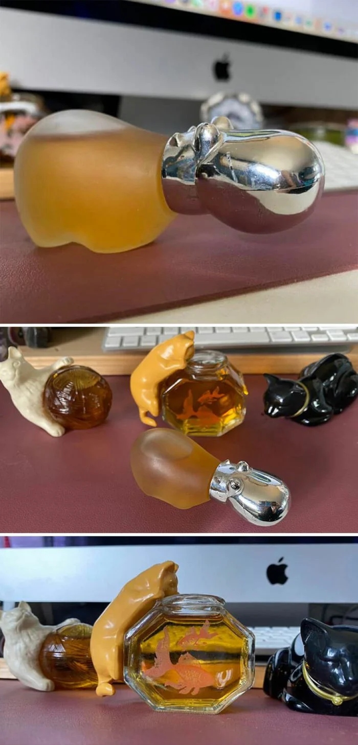 Unusual Finds In Thrift Shops (29 pics) Unusual Finds In Thrift Shops (29 pics)