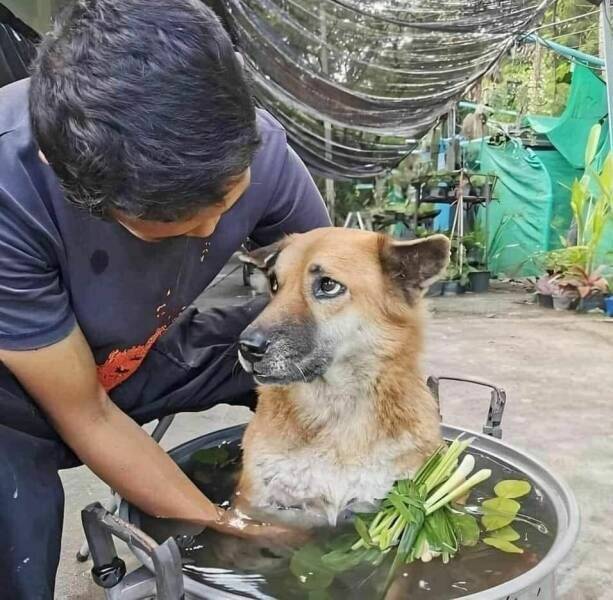 Daily Pictures. Part 1 (64 pics) Daily Pictures. Part 1 (64 pics)