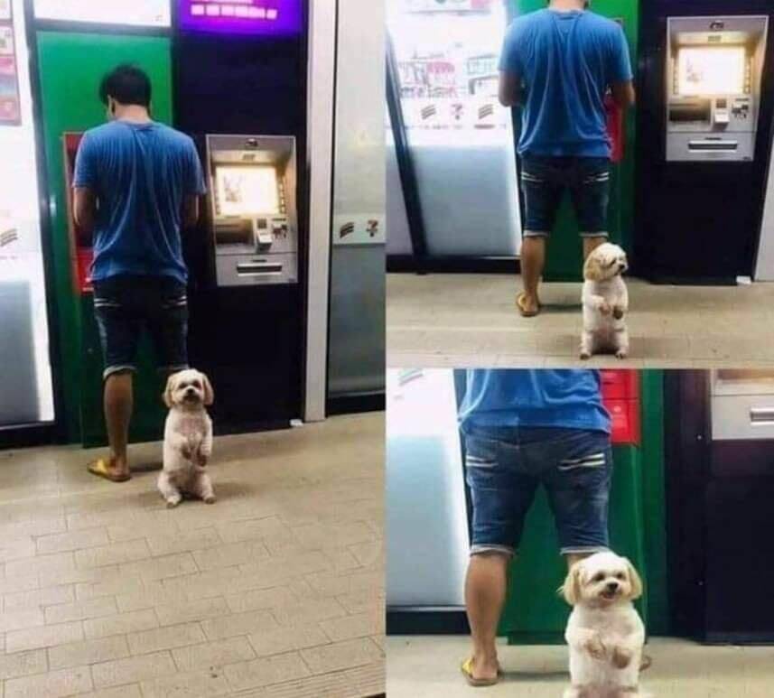 Daily Pictures. Part 1 (64 pics) Daily Pictures. Part 1 (64 pics)