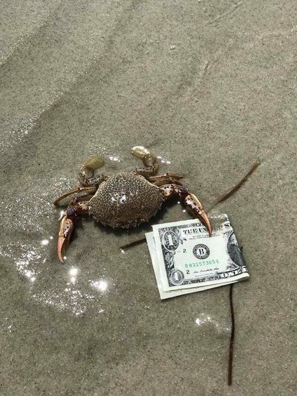 Daily Pictures. Part 1 (64 pics) Daily Pictures. Part 1 (64 pics)