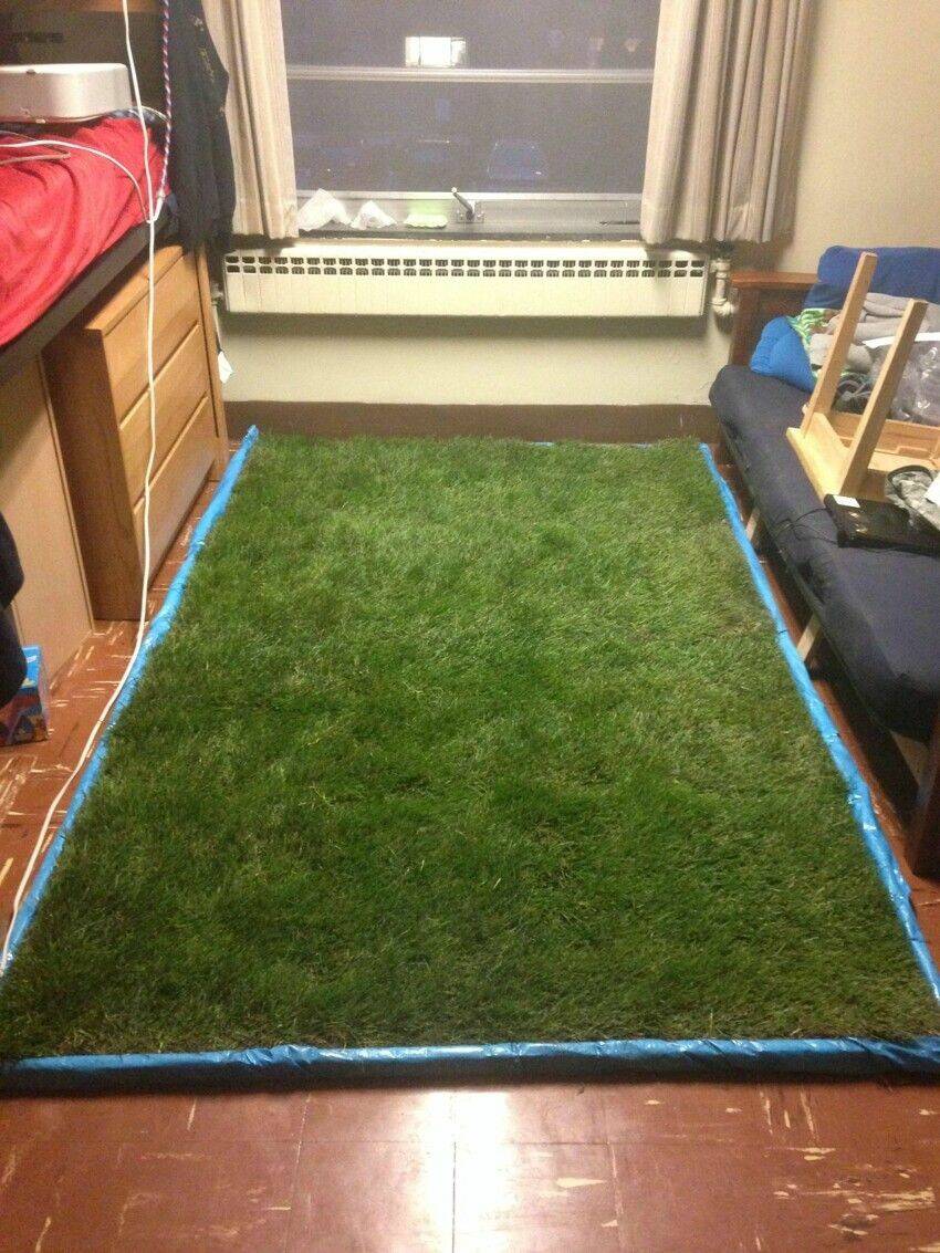 Daily Pictures. Part 1 (64 pics) Daily Pictures. Part 1 (64 pics)