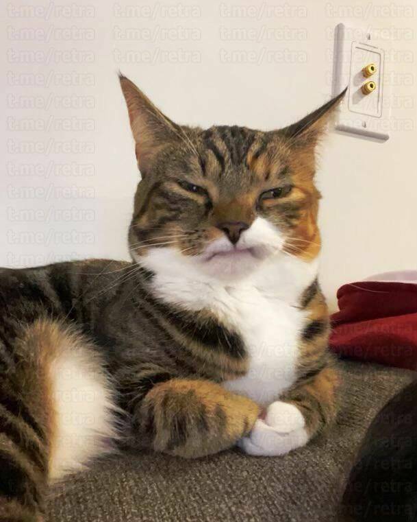 Daily Pictures. Part 1 (64 pics) Daily Pictures. Part 1 (64 pics)