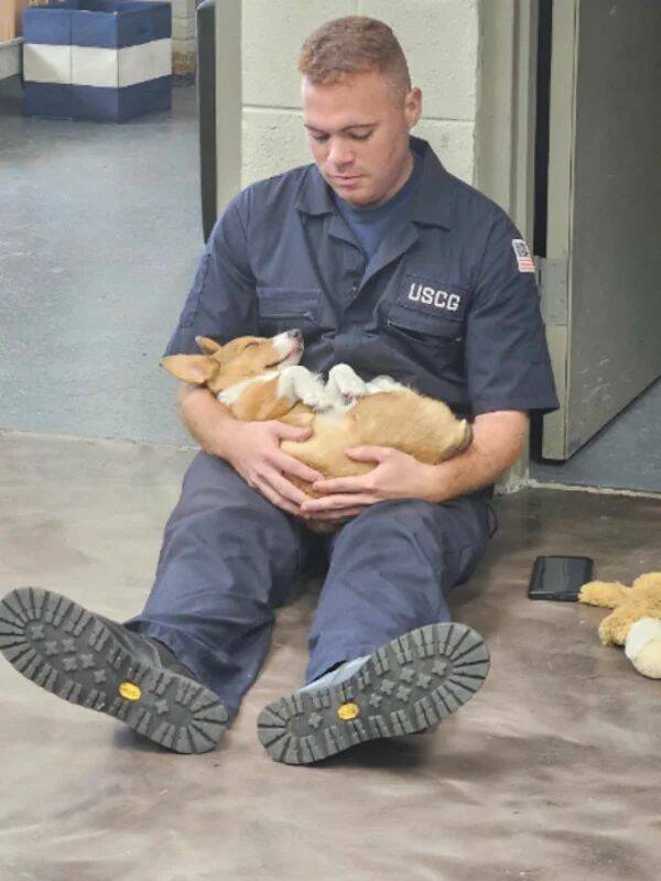 Daily Pictures. Part 1 (64 pics) Daily Pictures. Part 1 (64 pics)