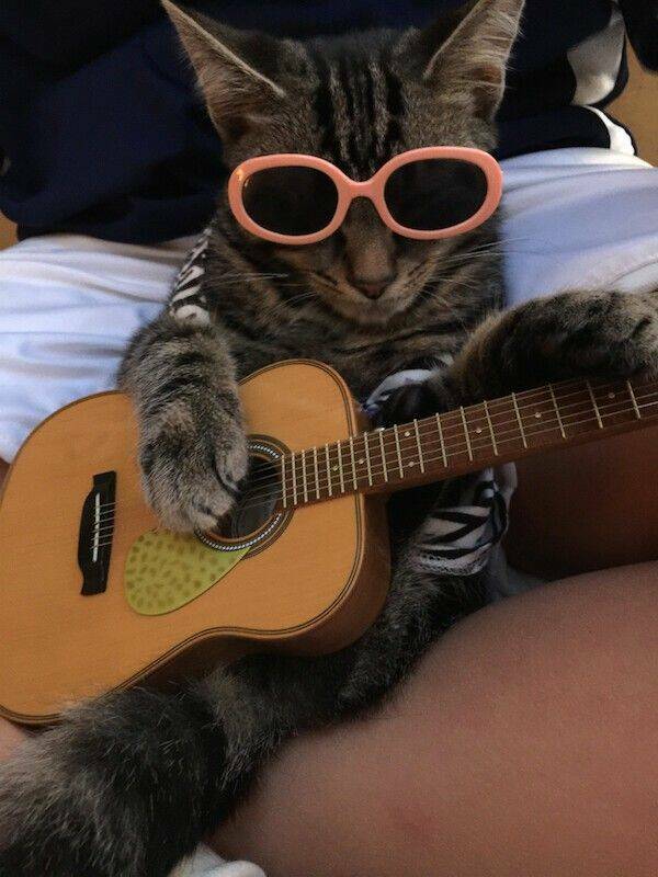 Daily Pictures. Part 1 (64 pics) Daily Pictures. Part 1 (64 pics)