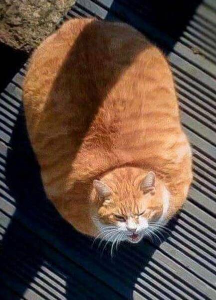 Daily Pictures. Part 1 (64 pics) Daily Pictures. Part 1 (64 pics)