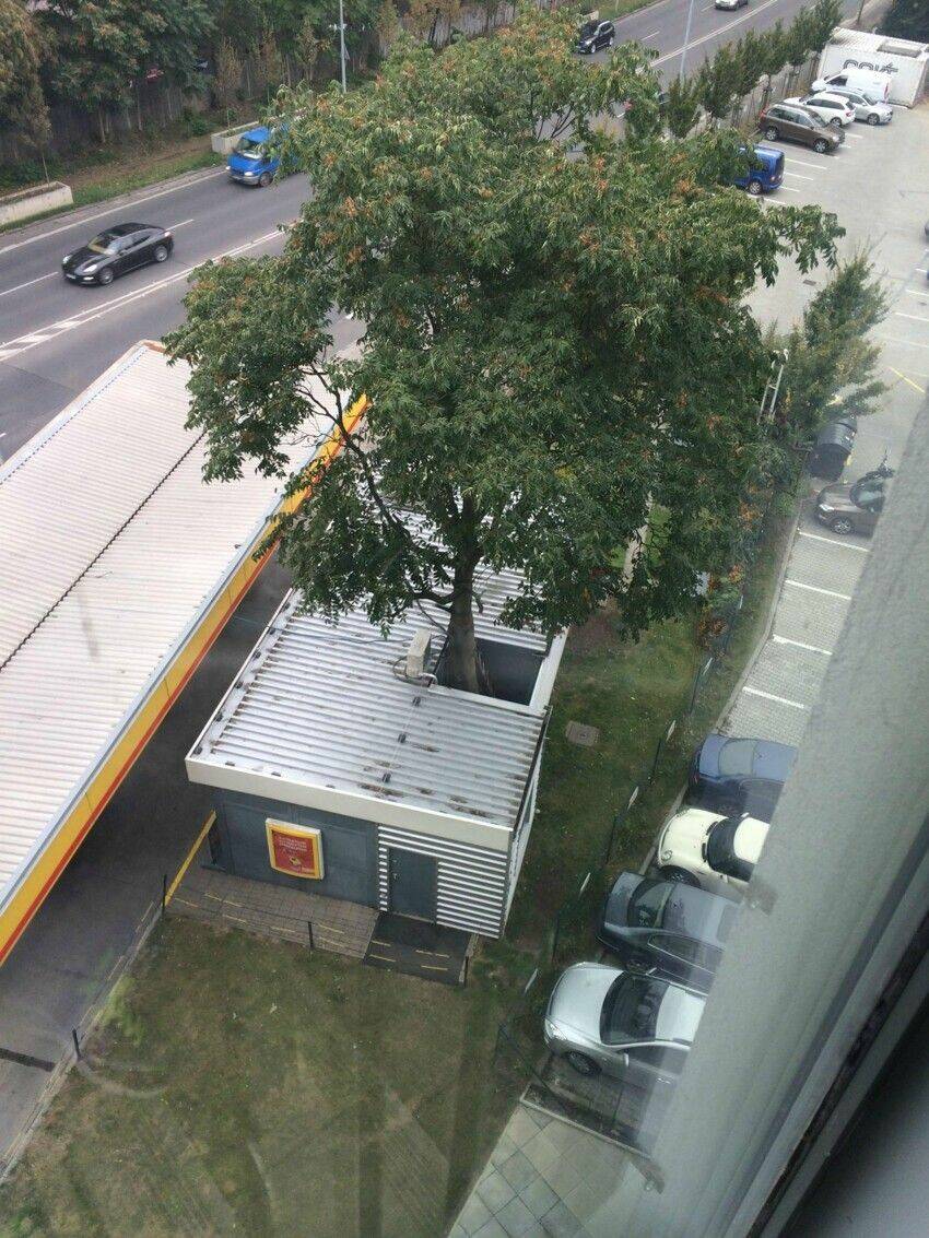 Daily Pictures. Part 1 (64 pics) Daily Pictures. Part 1 (64 pics)