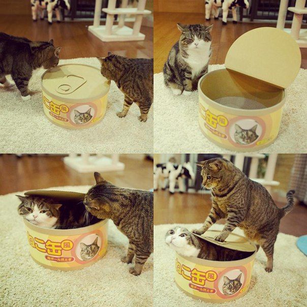 Daily Pictures. Part 1 (64 pics) Daily Pictures. Part 1 (64 pics)