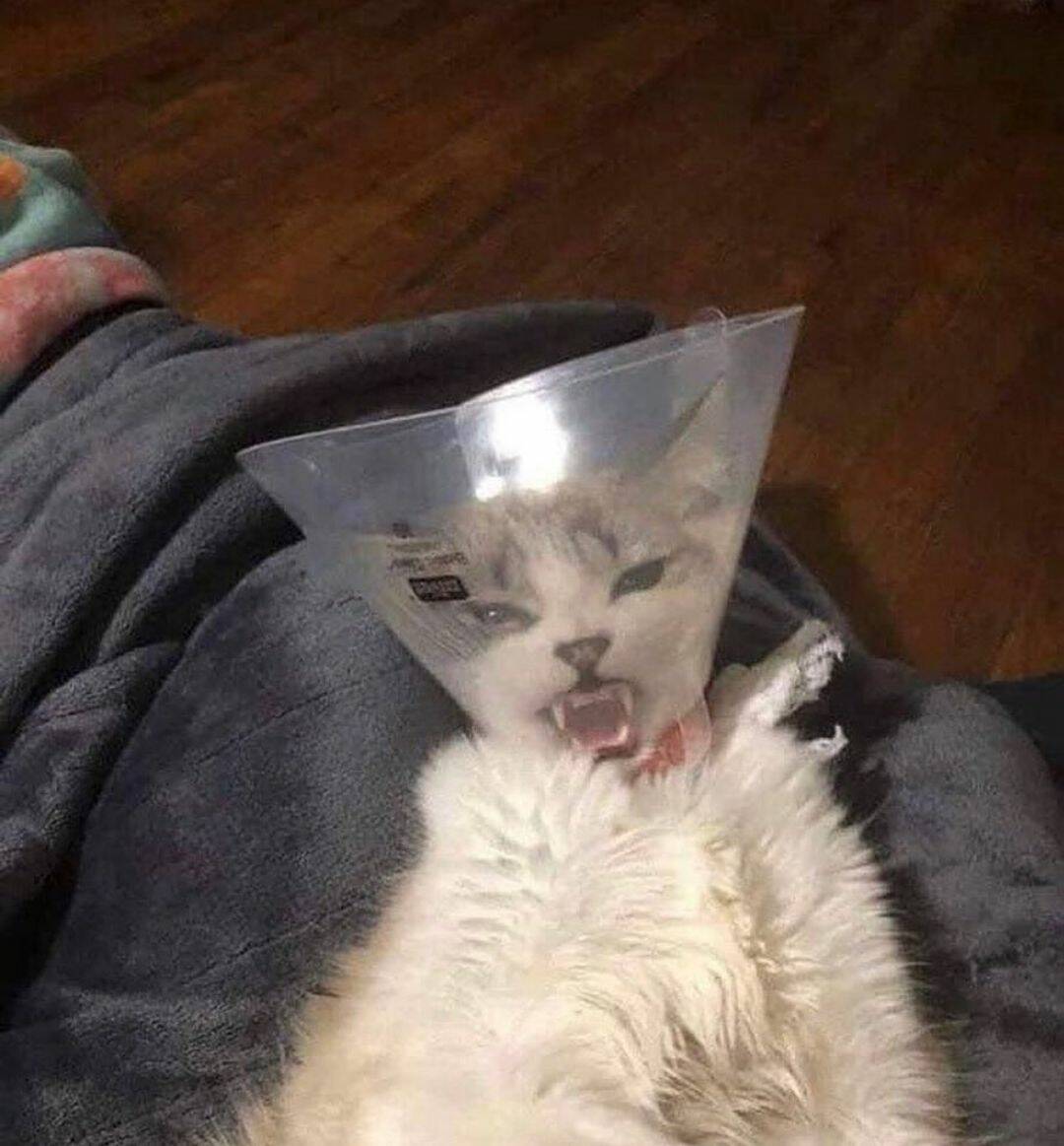 Daily Pictures. Part 1 (64 pics) Daily Pictures. Part 1 (64 pics)