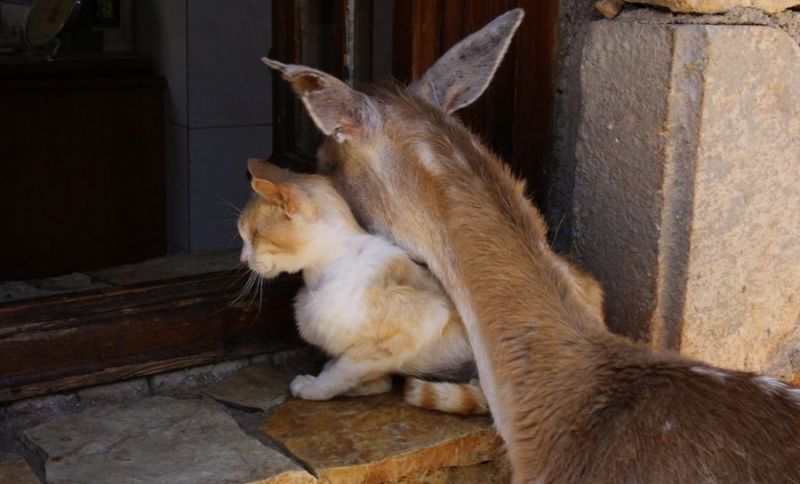 Daily Pictures. Part 2 (63 pics) Daily Pictures. Part 2 (63 pics)