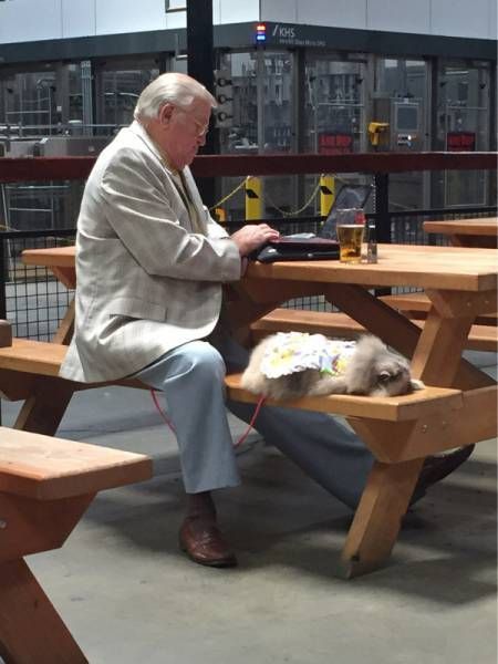 Daily Pictures. Part 2 (63 pics) Daily Pictures. Part 2 (63 pics)