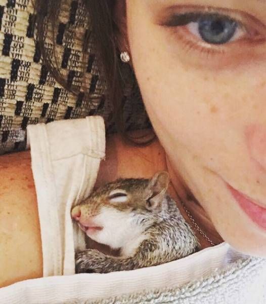 Daily Pictures. Part 2 (63 pics) Daily Pictures. Part 2 (63 pics)