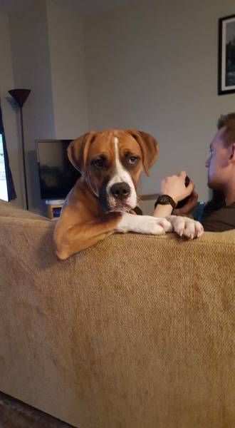 Daily Pictures. Part 2 (63 pics) Daily Pictures. Part 2 (63 pics)