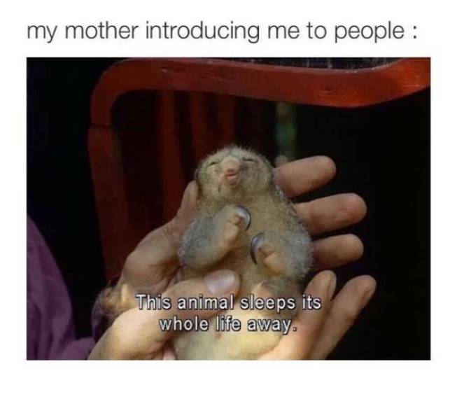 Daily Pictures. Part 2 (63 pics) Daily Pictures. Part 2 (63 pics)