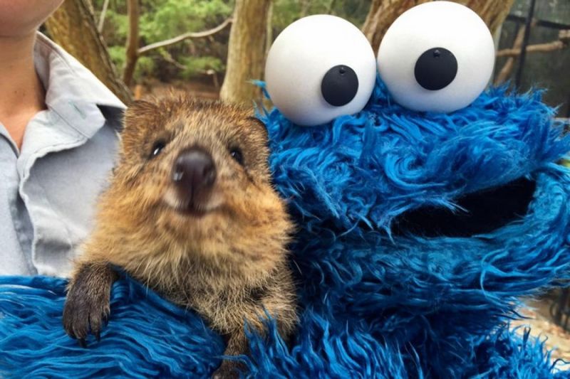 Daily Pictures. Part 2 (63 pics) Daily Pictures. Part 2 (63 pics)