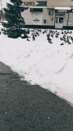 Acid GIFs, December 11 (25 gifs) Acid GIFs, December 11 (25 gifs)