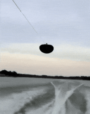 Acid GIFs, December 11 (25 gifs) Acid GIFs, December 11 (25 gifs)