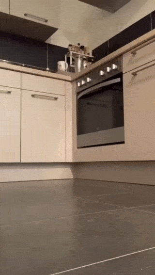 Acid GIFs, December 11 (25 gifs) Acid GIFs, December 11 (25 gifs)