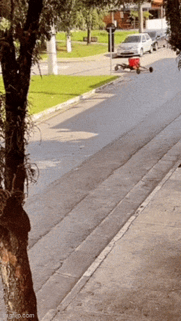 Acid GIFs, December 11 (25 gifs) Acid GIFs, December 11 (25 gifs)