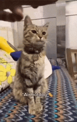 Acid GIFs, December 11 (25 gifs) Acid GIFs, December 11 (25 gifs)