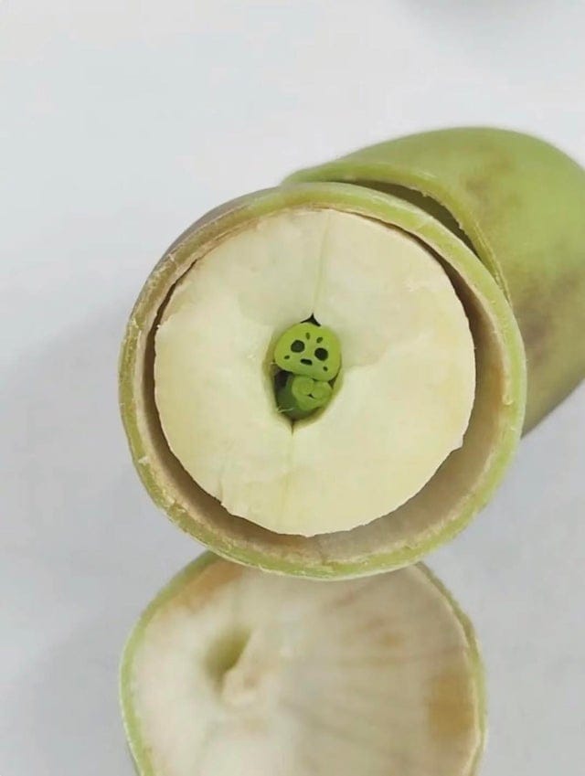 Pareidolia Effect (19 pics) Pareidolia Effect (19 pics)