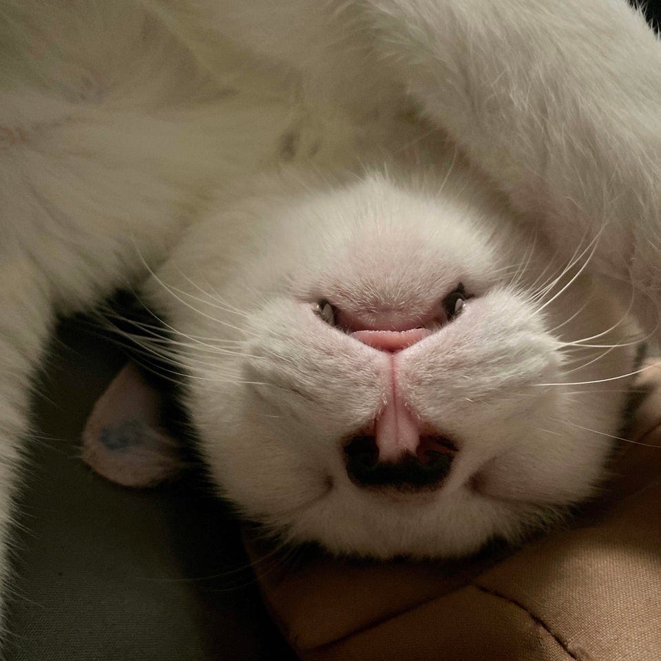 Pareidolia Effect (19 pics) Pareidolia Effect (19 pics)