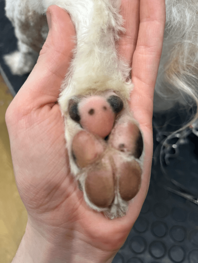 Pareidolia Effect (19 pics) Pareidolia Effect (19 pics)