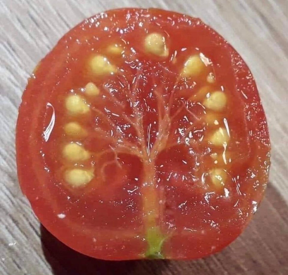 Pareidolia Effect (19 pics) Pareidolia Effect (19 pics)