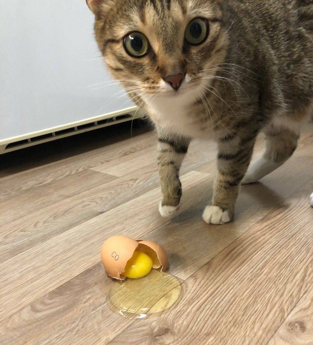 Daily Pictures. Part 1 (70 pics) Daily Pictures. Part 1 (70 pics)