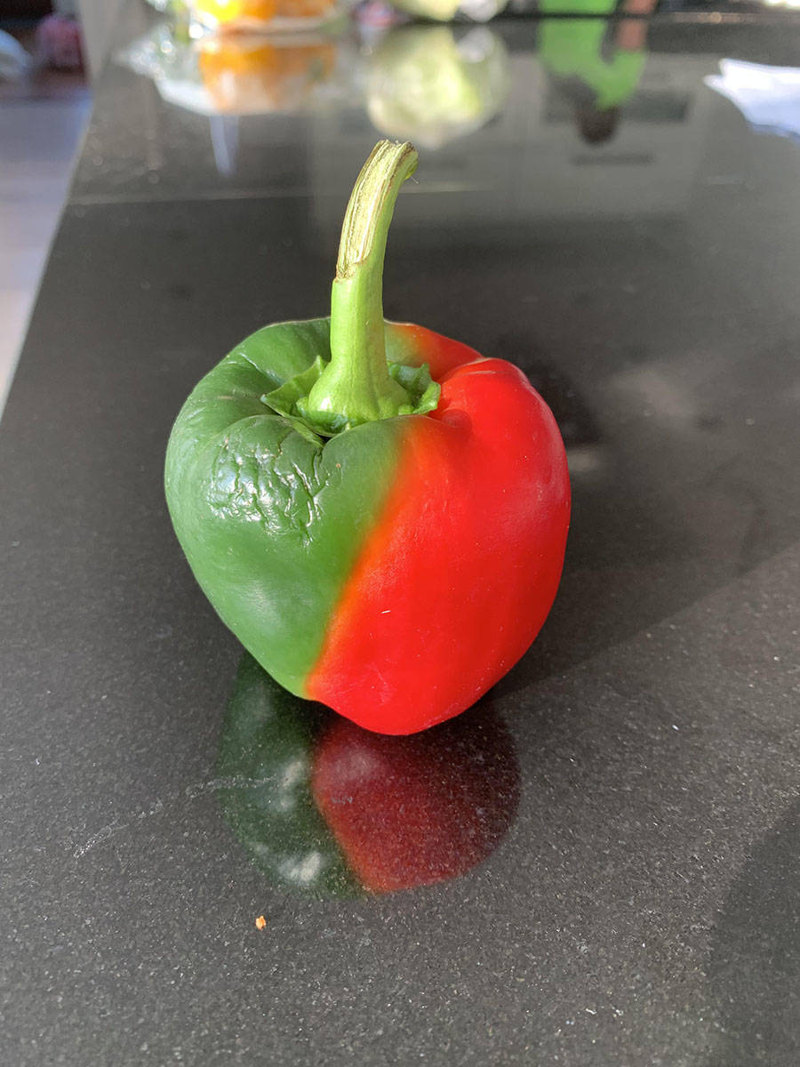 Daily Pictures. Part 1 (70 pics) Daily Pictures. Part 1 (70 pics)