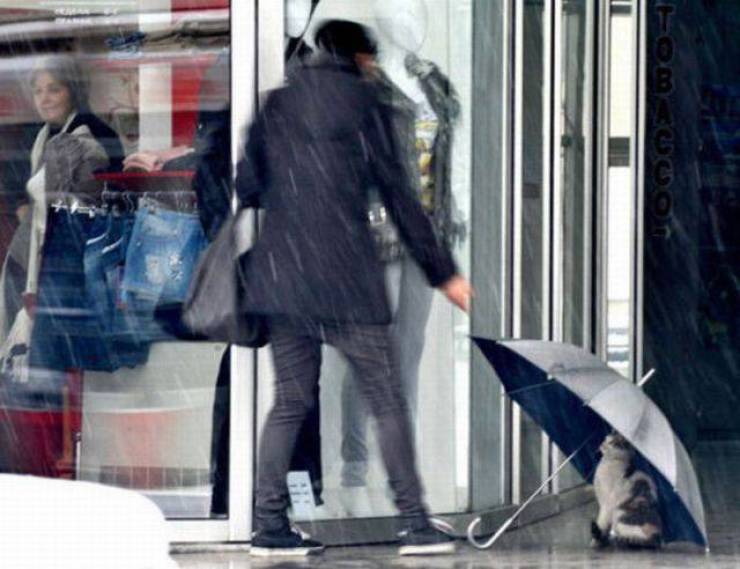 Daily Pictures. Part 1 (70 pics) Daily Pictures. Part 1 (70 pics)