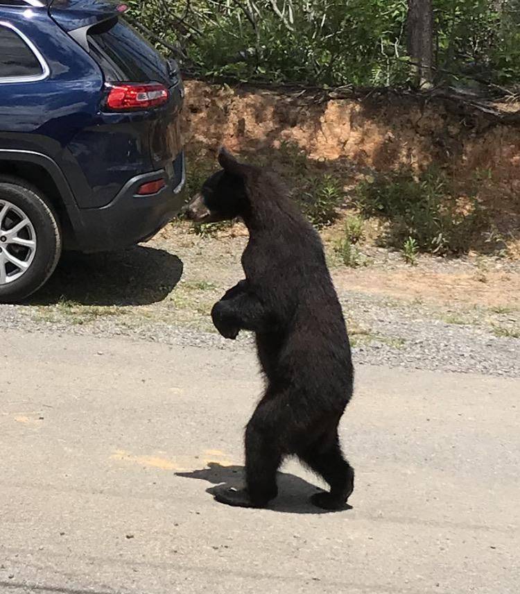 Daily Pictures. Part 1 (70 pics) Daily Pictures. Part 1 (70 pics)