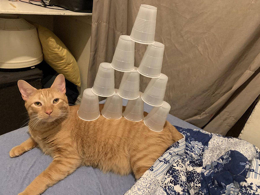 Daily Pictures. Part 1 (70 pics) Daily Pictures. Part 1 (70 pics)