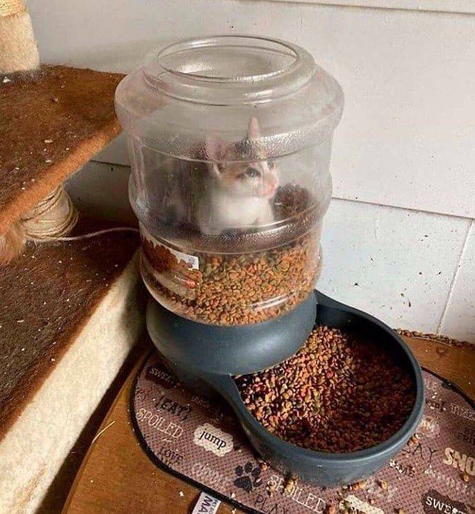 Daily Pictures. Part 1 (70 pics) Daily Pictures. Part 1 (70 pics)