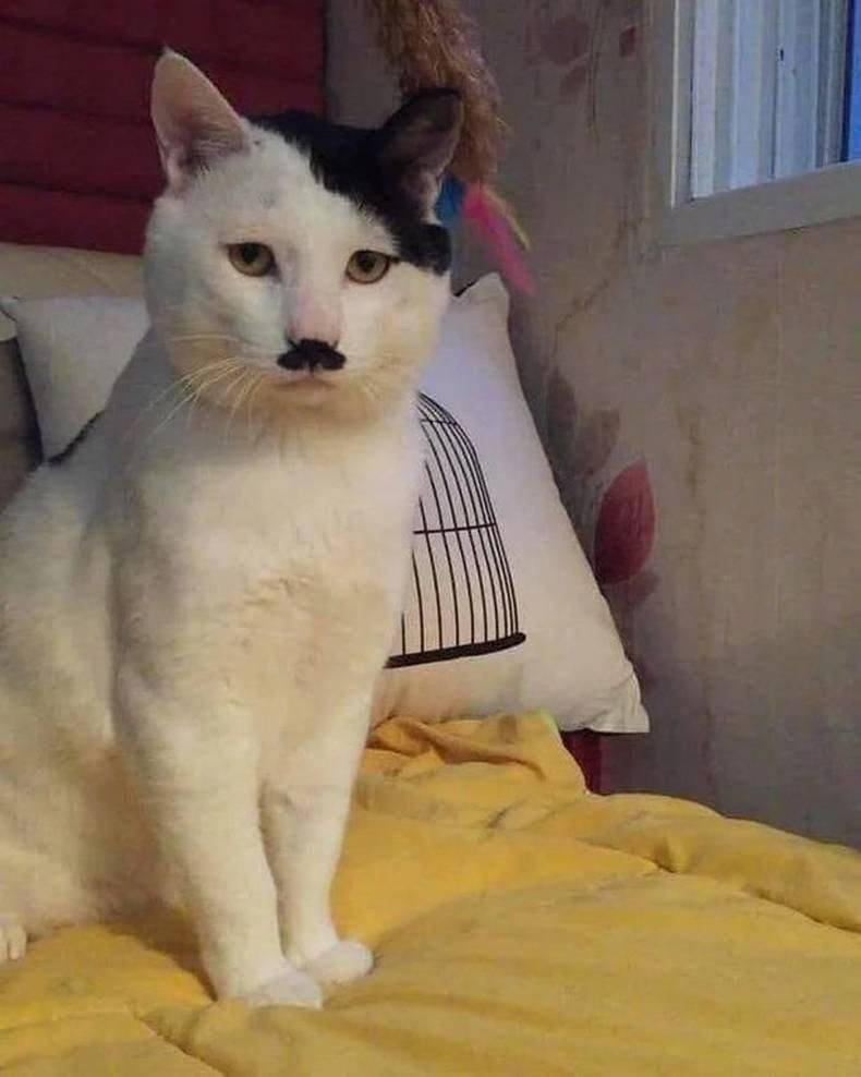 Daily Pictures. Part 1 (70 pics) Daily Pictures. Part 1 (70 pics)