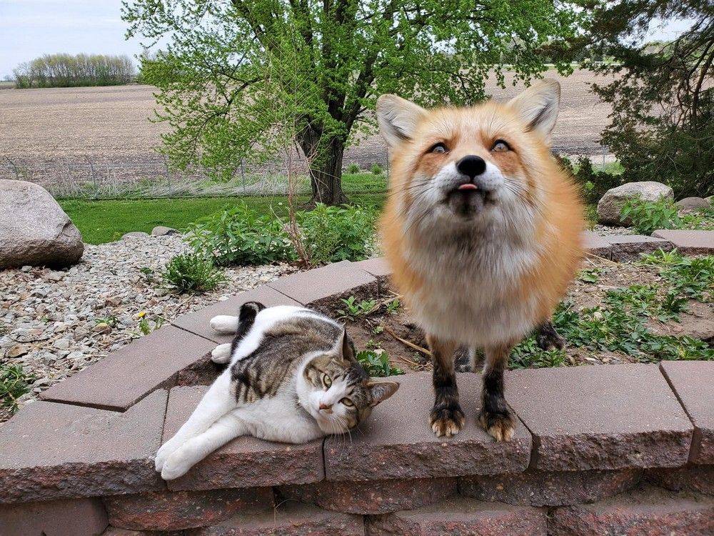 Daily Pictures. Part 1 (70 pics) Daily Pictures. Part 1 (70 pics)