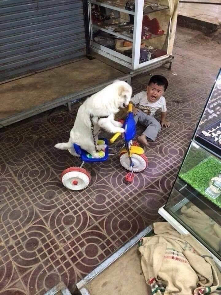 Daily Pictures. Part 1 (70 pics) Daily Pictures. Part 1 (70 pics)