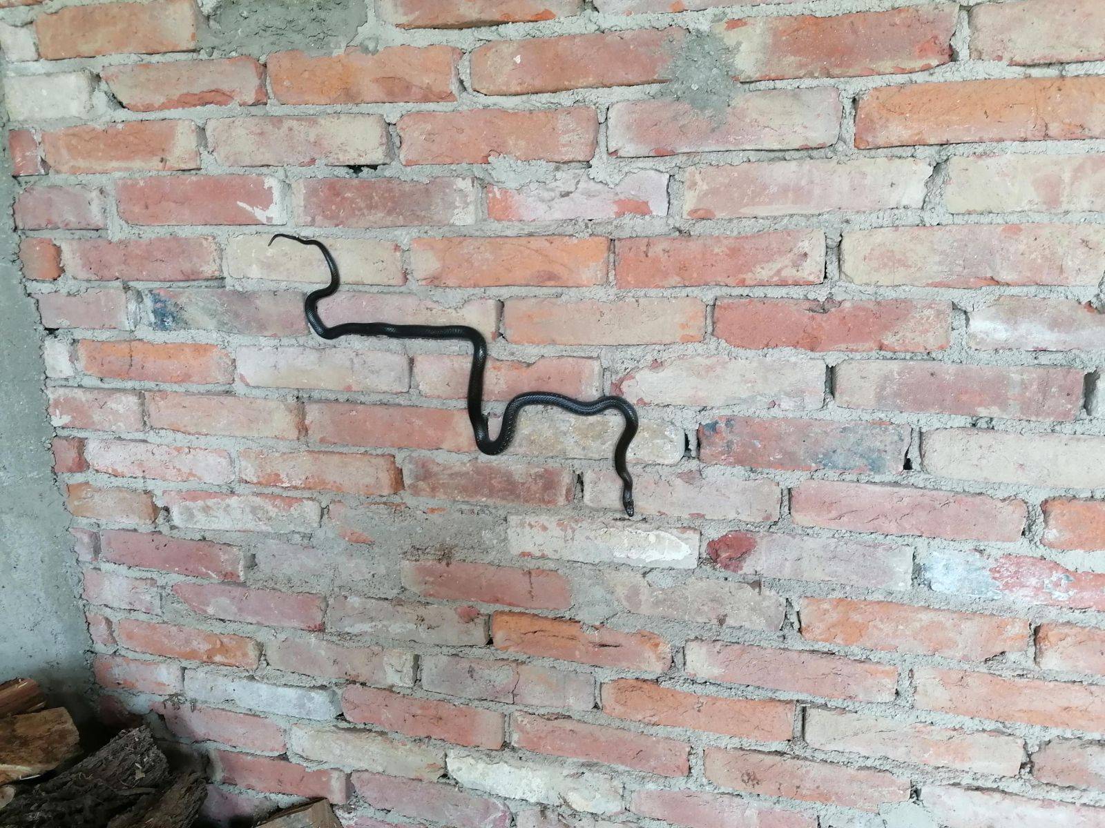 Daily Pictures. Part 1 (70 pics) Daily Pictures. Part 1 (70 pics)