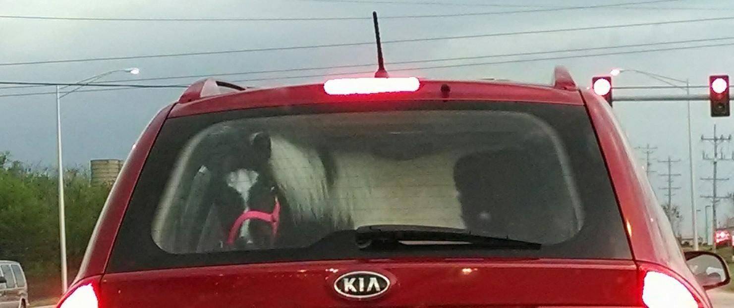 Daily Pictures. Part 2 (69 pics)