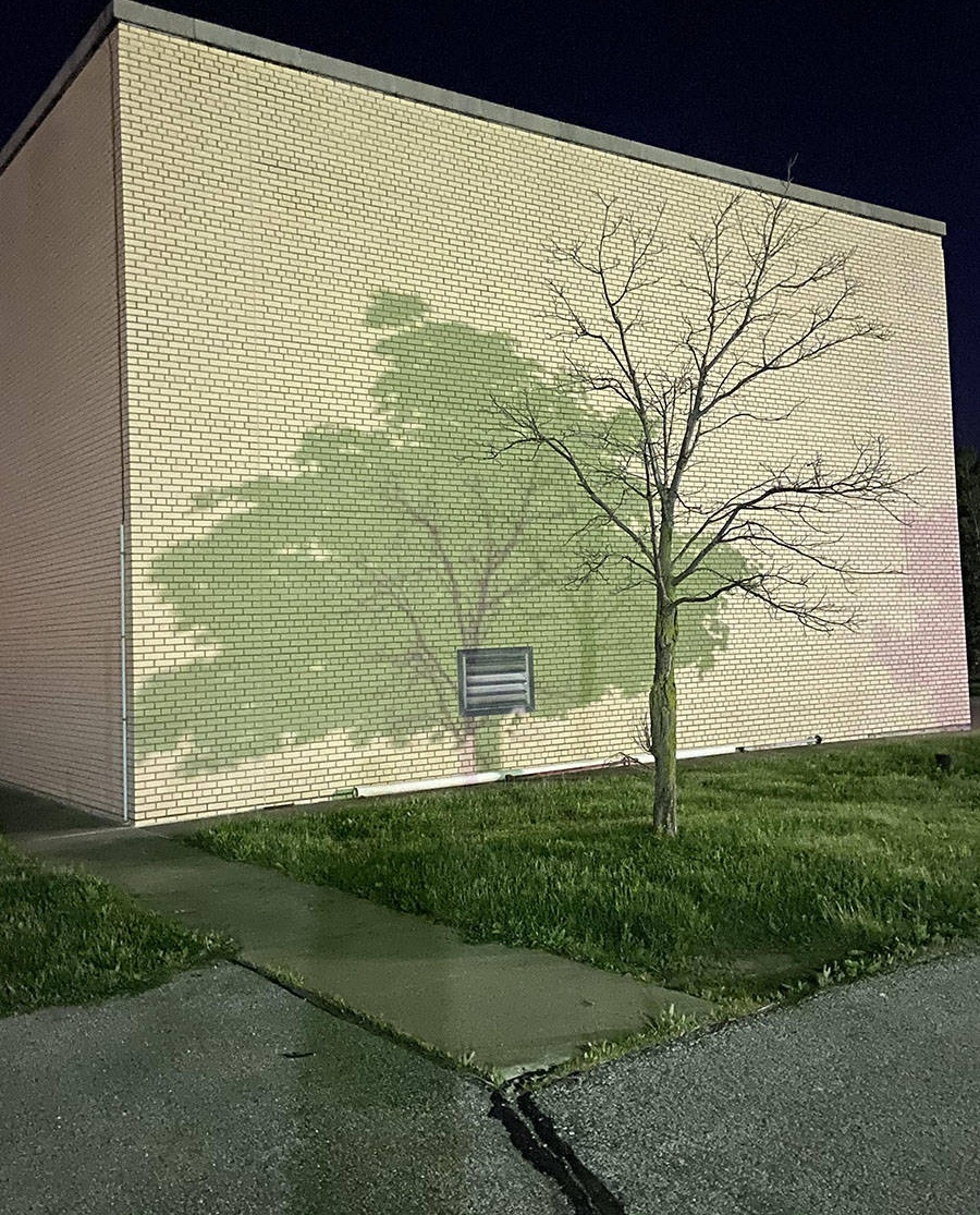 Daily Pictures. Part 2 (69 pics)