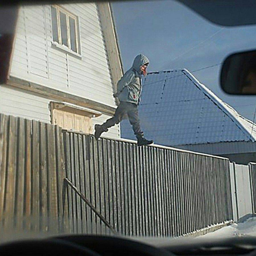 Daily Pictures. Part 2 (69 pics)