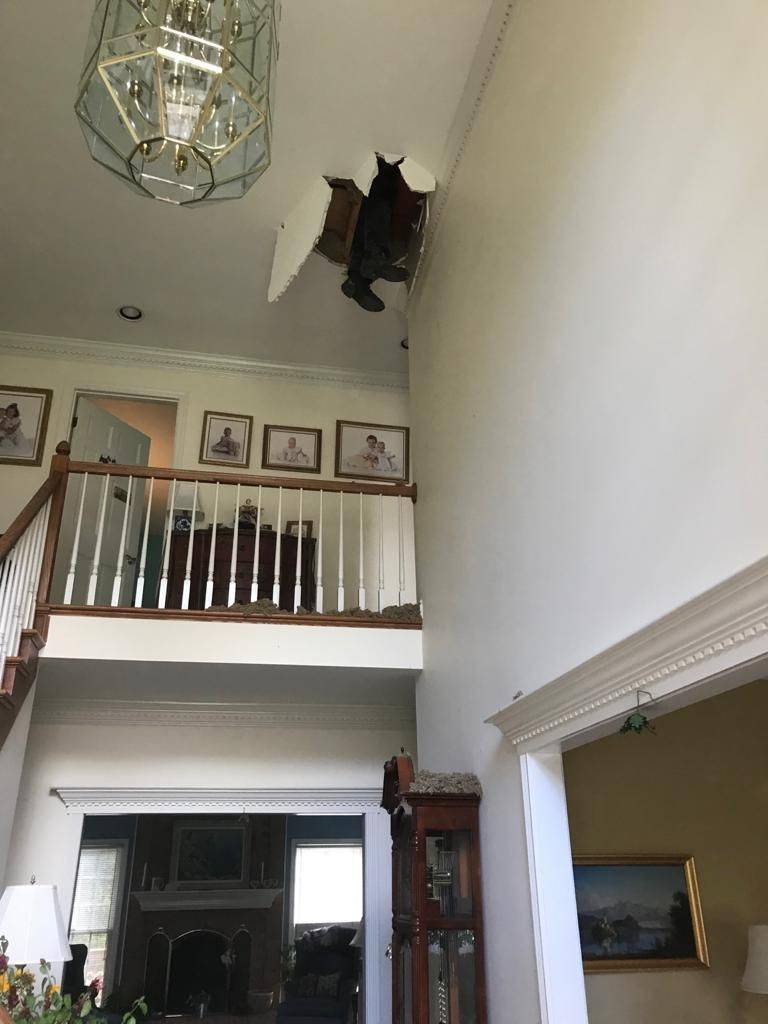 Daily Pictures. Part 2 (69 pics)