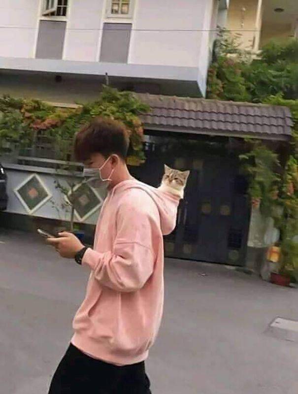 Daily Pictures. Part 1 (70 pics) Daily Pictures. Part 1 (70 pics)