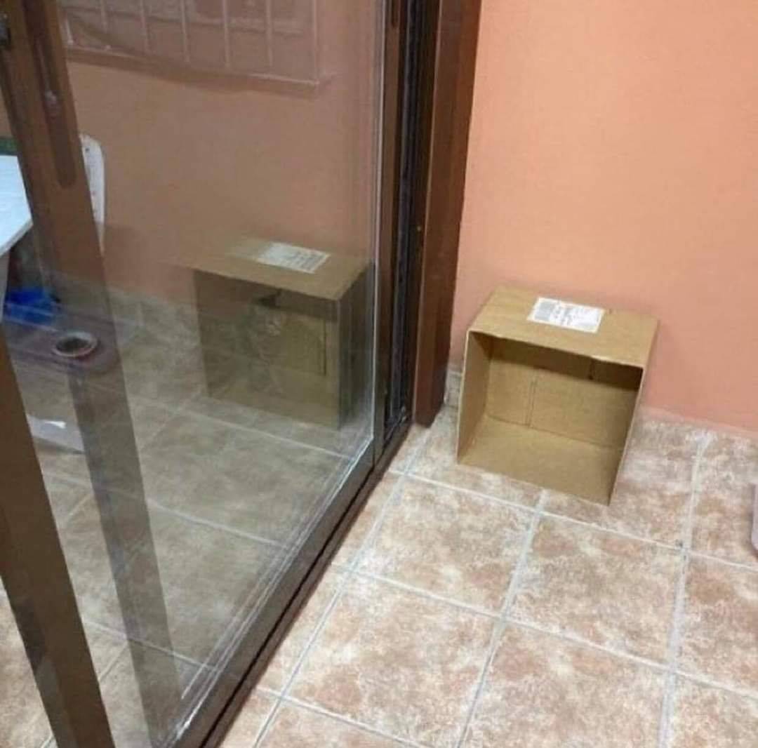 Daily Pictures. Part 1 (70 pics) Daily Pictures. Part 1 (70 pics)