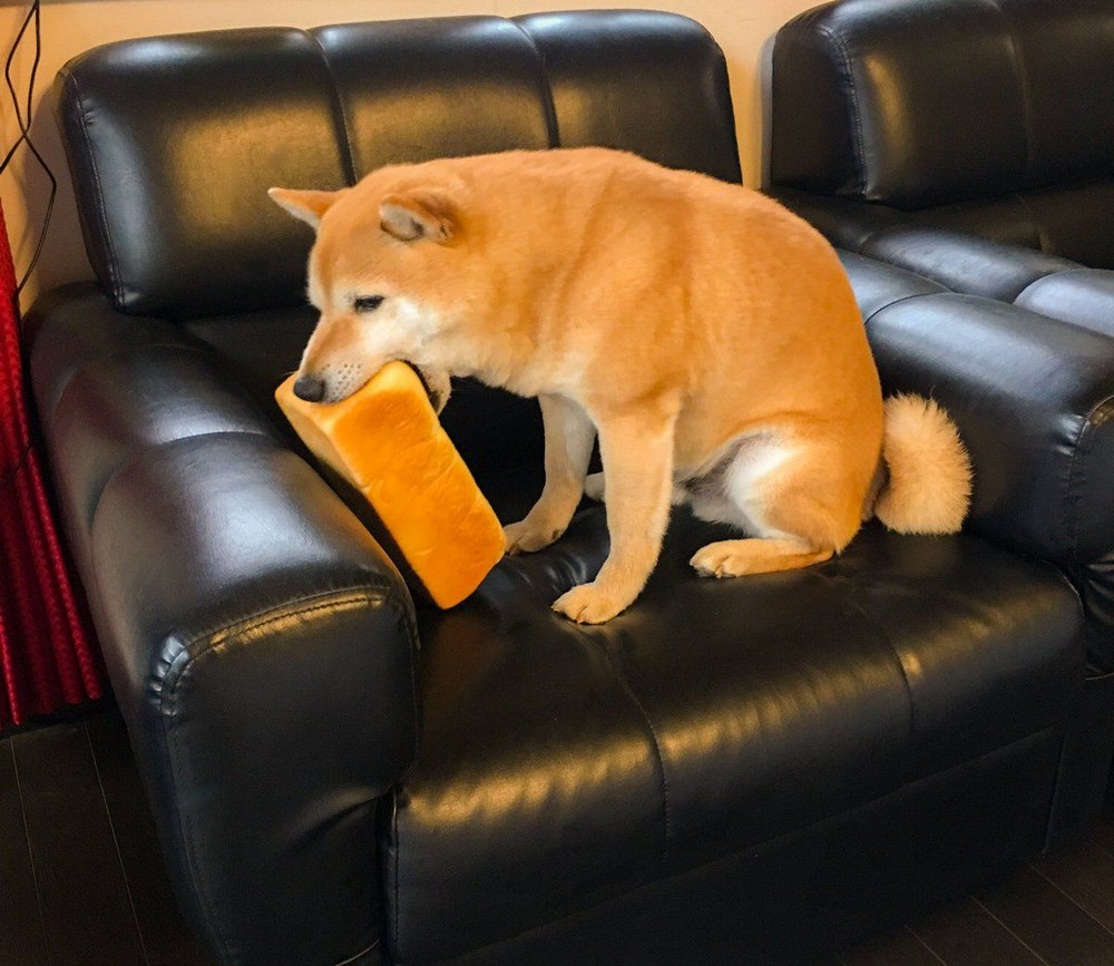 Daily Pictures. Part 2 (69 pics)